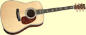 website for musicians