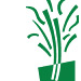 Leading Growth