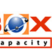 Black Box Performance and Capacity