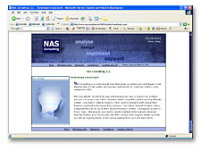 NAS Consulting, LLC