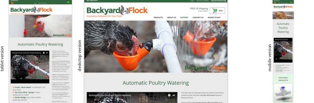 Backyard Flock.com