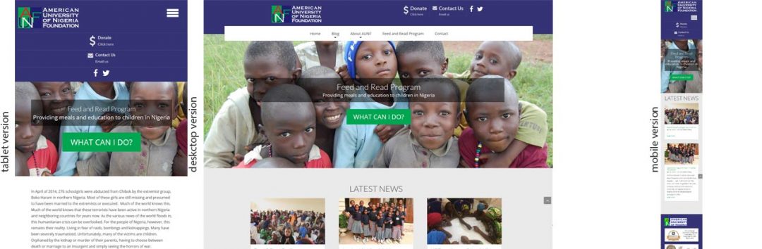 American University of Nigeria Foundation