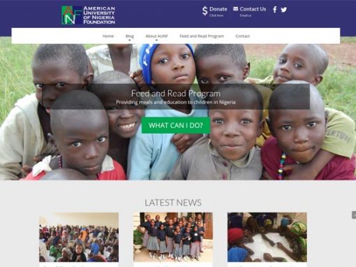 American University of Nigeria Foundation