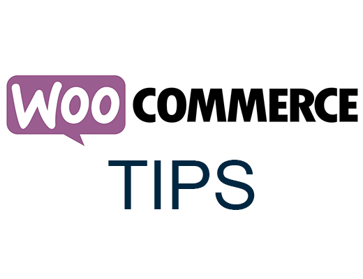 How to add display Woocommerce product category on the order edit page