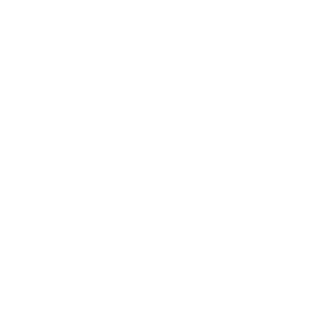 circle icon